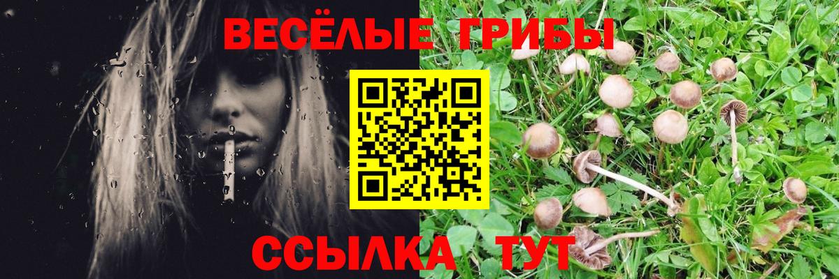 Галлюциногенные грибы ЛСД Воскресенск